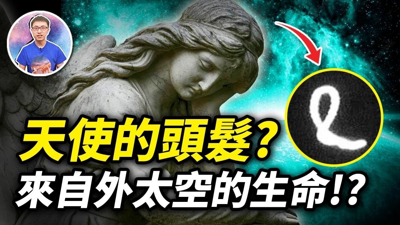 一觸碰就消失 ! 世界各地出現神秘的「天使頭髮」! ? 是聖母顯靈還是UFO的顯現 ? 【地球旅館】
