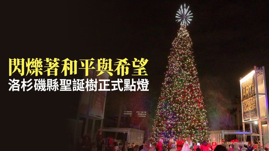 閃爍著和平與希望 洛杉磯縣聖誕樹正式點燈
