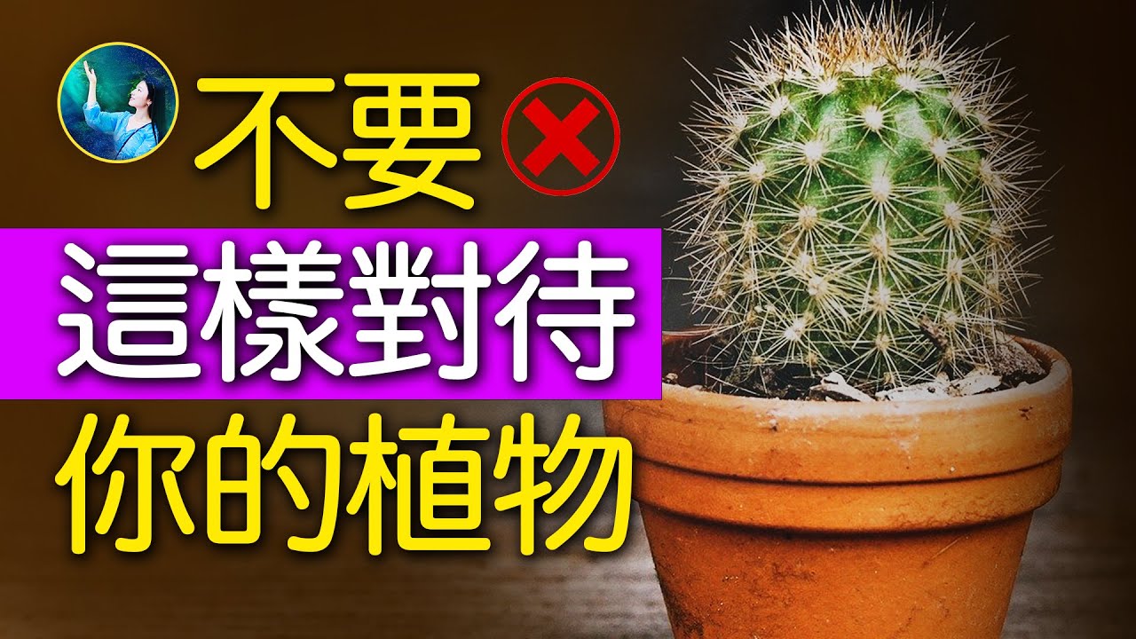 【未解之謎】科學聚焦：人的意念對植物有影響