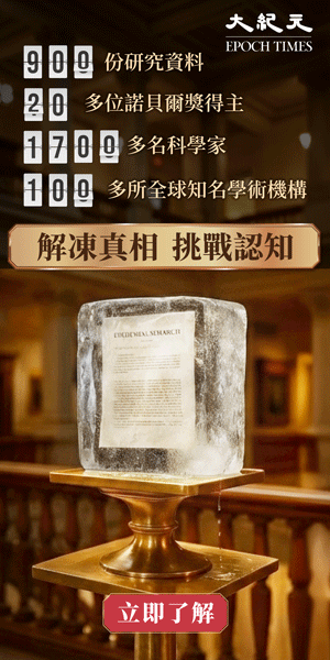 透視進化論
