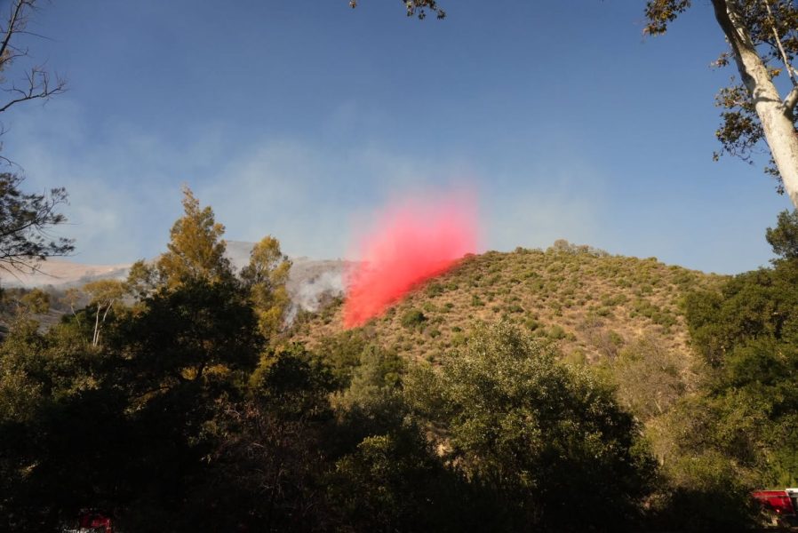阿倫洛克公園山火延燒10英畝 火情迅速控制無人傷亡