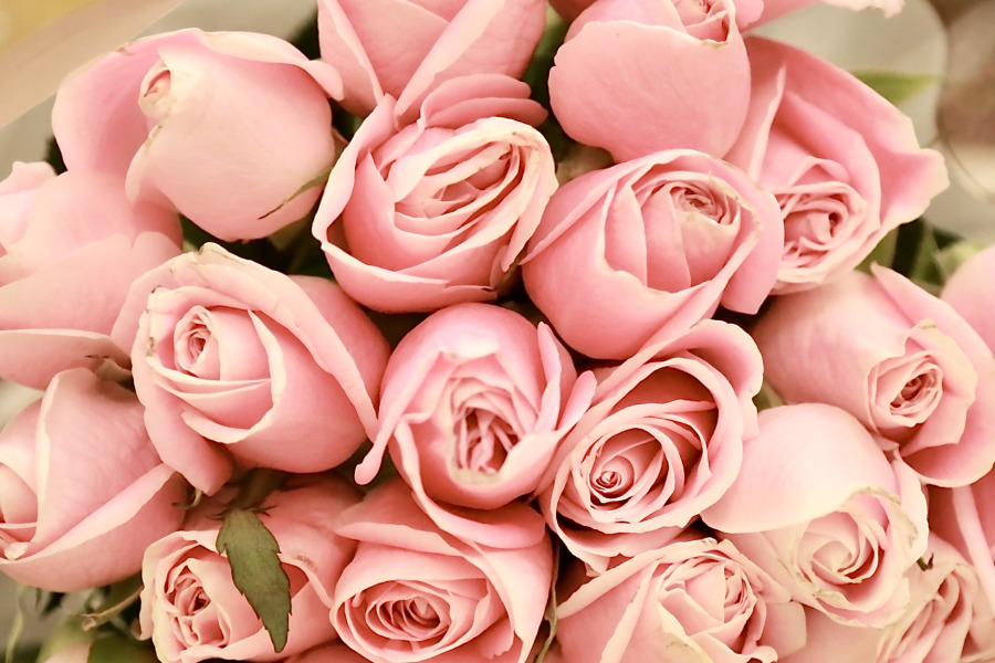 FBI警告AI愛情詐騙升溫 防範方法一次看